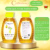 Mật Ong Sâm Tiến Vua 500G - Cvdbeehoney - Ảnh 5