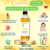 Mật Ong Hoa Vải - Cvdbeehoney - Ảnh 8