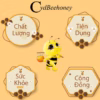 Mật Ong Hoa Nhãn 430Ml - Cvdbeehoney - Ảnh 6