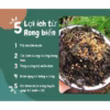 Combo 2 Hủ Rong Biển Sấy Tỏi/Rong Biển Cháy Tỏi 160G Ctb101 - Bechip - Ảnh 9