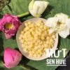 Mứt Hạt Sen Huế Ít Đường Thơm Ngon, Bùi, Ngọt Thanh 500G Ctb616 - Bechip - Ảnh 8