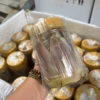 Mắm Cá Thu Ngâm Dầu, Đặc Sản Bình Đinh 500G - Winnie House - Ảnh 3