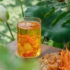 Trà Thảo Mộc Đông Trùng Tứ Vị - Bamboo - Ảnh 3