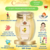 Mật Ong Kết Tinh Nhân Tạo Sâm Tiến Vua Cao Cấp 500G - Cvdbeehoney - Ảnh 13