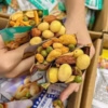Combo Bim Bim Đậu Hạt Mix Siêu Ngon 500G - Winnie House - Ảnh 3