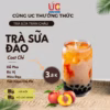 Trà Sữa Đào, Trà Sữa Đậm Vị, Thơm Ngon, Nước Uống Giải Khát Dễ Pha Túi 500Gr Tsd - Lady'S Passion - Ảnh 5