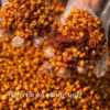 Bắp Rim Khô Bò Cay Quảng Ngãi Thơm Giòn 500G - Winnie House - Ảnh 4