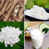 Bột Sắn Dây Nguyên Chất 1Kg - Winnie House - Ảnh 6