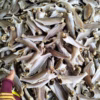1Kg Khô Cá Đù - Vưa Khô Bến Tre - Ảnh 3