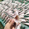 1Kg Khô Cá Đù - Vưa Khô Bến Tre - Ảnh 4