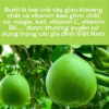 Vỏ Bưởi Sấy Dẻo Vỏ Mỏng Gói 100G Tiện Lợi Tc04 - Lady'S Passion - Ảnh 6