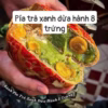Bánh Pía Trà Xanh Dừa Hành 8 Trứng 600G - Winnie House - Ảnh 2