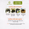 Hộp 10 Gói Snack Rong Biển Hữu Cơ Tách Muối Vị Truyền Thống Alvins 1.5G L033 - Lady'S Passion - Ảnh 12