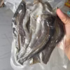 Khô Cá Lóc 3 Nắng Ướp Mặn Vừa Ăn 500G - Vựa Khô Bến Tre - Ảnh 2