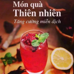 Siro Atiso Đỏ – Giải Nhiệt, Đẹp Da, Tốt Cho Gan 1Kg - Winnie House