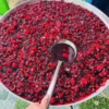 Siro Atiso Đỏ – Giải Nhiệt, Đẹp Da, Tốt Cho Gan 1Kg - Winnie House - Ảnh 5