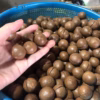 Hạt Maca Sấy Nứt Vỏ Mắc Ca Đăk Lăk Giàu Dinh Dưỡng Hộp 500G - Ảnh 7