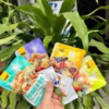 [2,5Kg] Hạt Ngũ Cốc Mix Trái Cây Sấy, Hạt Đậu Dinh Dưỡng Mix 4 6Vị, Hạt Dinh Dưỡng Mix Trái Cây Sấy, Thương Hiệu Foodstar - Ảnh 4
