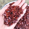 Hạt Dưa Rang Túi 500G H013 - Lady'S Passion - Ảnh 3