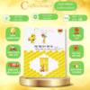 Hộp Mật Ong Sâm Tiến Vua 12X10G - Cvdbeehoney - Ảnh 5