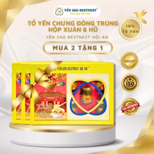 [Mua 2 Tặng 1] Yến Sào Bestnest Hội An - Tổ Yến Chưng Sẵn Đông Trùng Hạ Thảo 18% - Hộp Xuân 6 Hũ X 70Ml