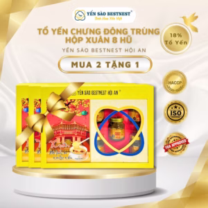 [Mua 2 Tặng 1] Yến Sào Bestnest Hội An - Tổ Yến Chưng Sẵn Đông Trùng 18% - Hộp Xuân 8 Hũ X 70Ml