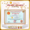 [Giỏ Quà 6 Hủ Tặng 1 Hủ Yến Lẻ] Yến Chưng Đường Phèn 35% Yến Like Nest - Ảnh 3