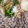 Me Gừng Sên Tắc: Hương Vị Đậm Đà, Thưởng Thức Là Ghiền 500G - Winnie House - Ảnh 2