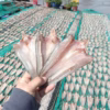 Khô Cá Lóc Cửng Phơi Dẻo – Đặc Sản Miền Tây, Vị Ngon Quê Nhà - 500G - Winnie House - Ảnh 2