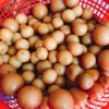 Tắc Muối Ngâm Đường Phèn – Giải Cảm, Giữ Ấm Cổ Họng, Tăng Sức Đề Kháng 1Kg - Winnie House - Ảnh 3