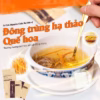 [Hộp Set 6 Thanh Yến] Tổ Yến Sấy Nguyên Chất Ăn Liền Nestworld - Ảnh 5
