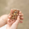 [Hộp 6 Bánh] Thanh Năng Lượng Yến Sào Nest Slim Giàu Dinh Dưỡng Cải Thiện Hệ Tiêu Hóa Nestworld - Ảnh 4