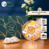 Yến Sào Việt Trung - Yến Tinh Chế Định Hình - Ảnh 4
