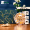 Yến Sào Việt Trung - Chân Yến Thô - Bird Nest Vt6 - Ảnh 3