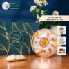 Yến Sào Việt Trung - Tổ Yến Tinh Chế - Bird Nest Vt3 - Ảnh 3