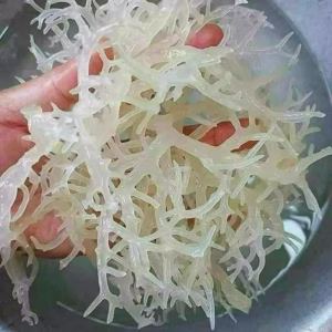 Rong Sụn Biển Khô – Giòn Rụp, Thanh Mát, Siêu Bổ Dưỡng 500G - Winnie House