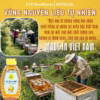 Mật Ong Hoa Nhãn 500G - Cvdbeehoney - Ảnh 3