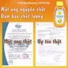 Mật Ong Hoa Nhãn 500G - Cvdbeehoney - Ảnh 4