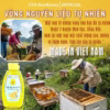 Mật Ong Hoa Bạc Hà 500G - Cvdbeehoney - Ảnh 3