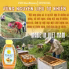 Mật Ong Gừng Sả 500G - Cvdbeehoney - Ảnh 3