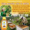 Mật Ong Chanh Leo 500G - Cvdbeehoney - Ảnh 3