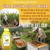 Mật Ong Tinh Nghệ 500G - Cvdbeehoney - Ảnh 3