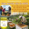 Mật Ong Cao Cấp Hoa Bạc Hà 330Ml - Cvdbeehoney - Ảnh 3