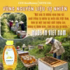Mật Ong Hoa Vải 500G - Cvdbeehoney - Ảnh 3