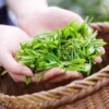 Trà Nõn Cao Cấp - Sương Mai - Ảnh 4