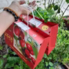 Hộp 1Kg Táo Đỏ Hàn Quốc Có Hộp Quà Tặng - Minh Ngọc - Ảnh 3