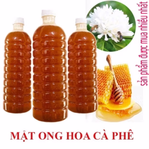 1 Lit Mật Ong Hoa Cà Phê Nguyên Chất - Đặc Sản Tây Nguyên - Minh Ngọc