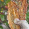 Khô Cá Mối Tẩm Vị Rút Xương 500G - Winnie House - Ảnh 4