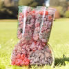 Xí Muội Ô Liu, Xí Muội Đào Mix Vị 500G - Winnie House - Ảnh 2