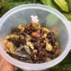 Mấm Ba Khía Muối Mặn - Vựa Khô Bến Tre - Ảnh 3